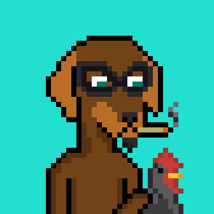 ViralataFunk #2258