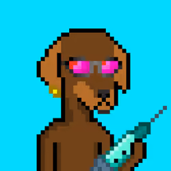 ViralataFunk #7803