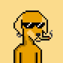 ViralataFunk #1542