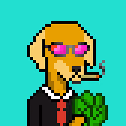 ViralataFunk #1147