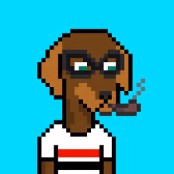 ViralataFunk #3087