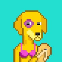 ViralataFunk #6322