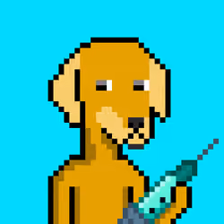 ViralataFunk #2832