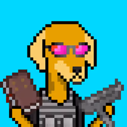 ViralataFunk #9472