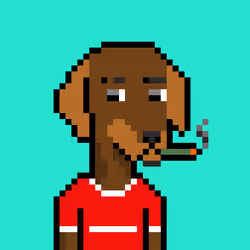 ViralataFunk #8233