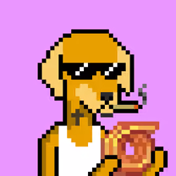 ViralataFunk #1149