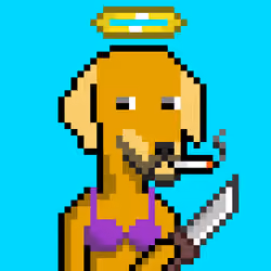 ViralataFunk #6544