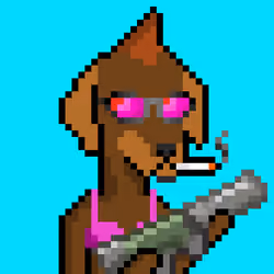 ViralataFunk #7762