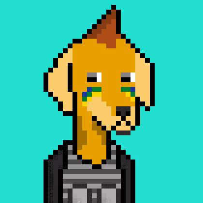 ViralataFunk #12