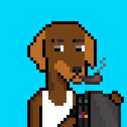 ViralataFunk #2366