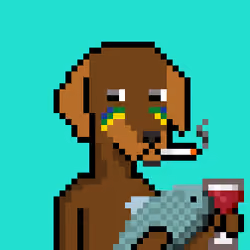 ViralataFunk #4501