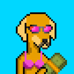 ViralataFunk #4499