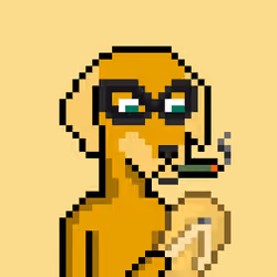 ViralataFunk #8214
