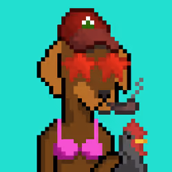 ViralataFunk #7760