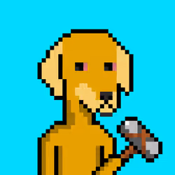 ViralataFunk #2564