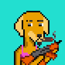 ViralataFunk #5831