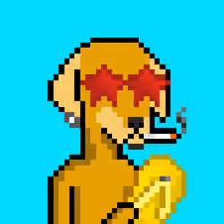 ViralataFunk #9502