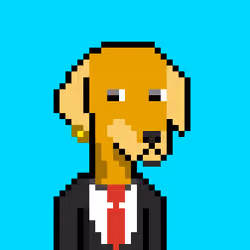 ViralataFunk #7305