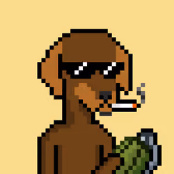ViralataFunk #8211