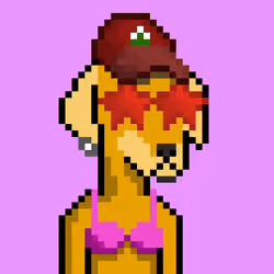 ViralataFunk #1758