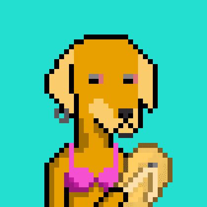 ViralataFunk #89