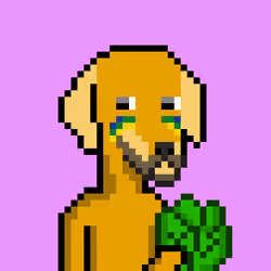 ViralataFunk #3615