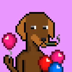 ViralataFunk #2367