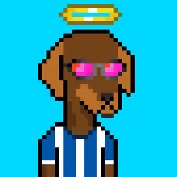 ViralataFunk #6542