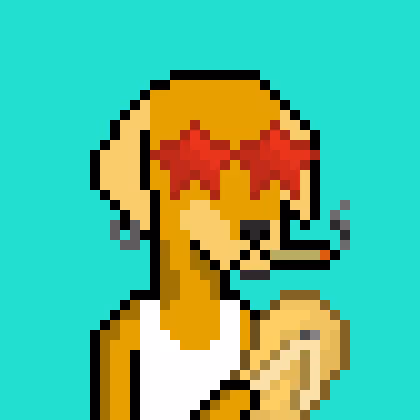 ViralataFunk #340