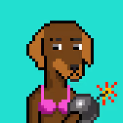 ViralataFunk #1495