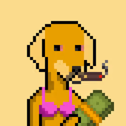 ViralataFunk #3381