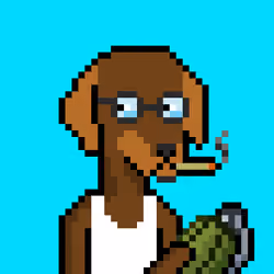 ViralataFunk #9523