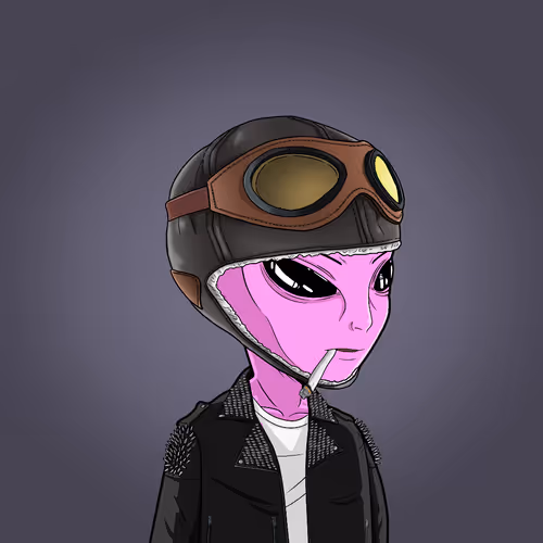 The Aliensecretsociety
