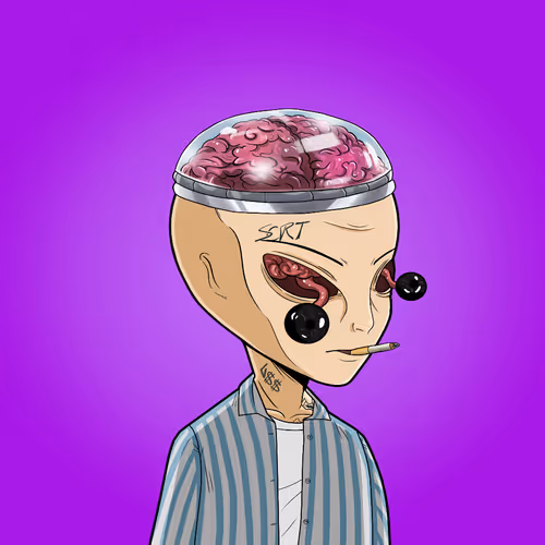 The Aliensecretsociety