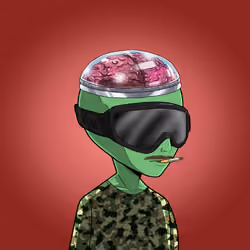 ALIEN SECRET SOCIETY #4934