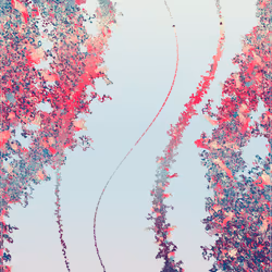 AIXXA #361