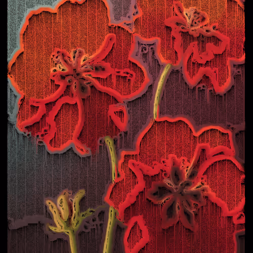 Echoes by Cory Haber