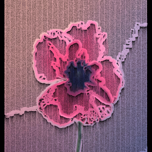 Echoes #185