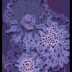 Echoes #104