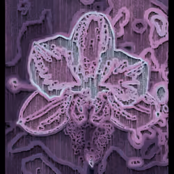 Echoes #114