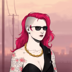 Outlaw Gal #2969
