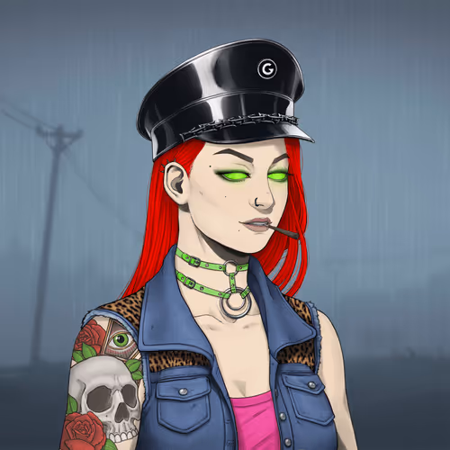 Outlaw Gal #1169