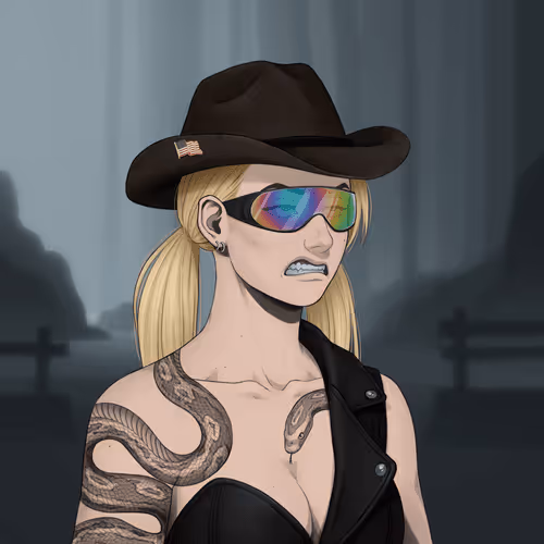 Outlaw Gal #1525