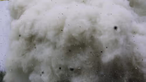 Item #29700010044 Media