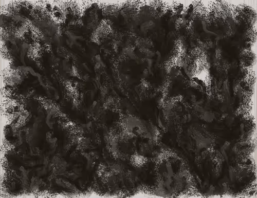 Fluids By Bim