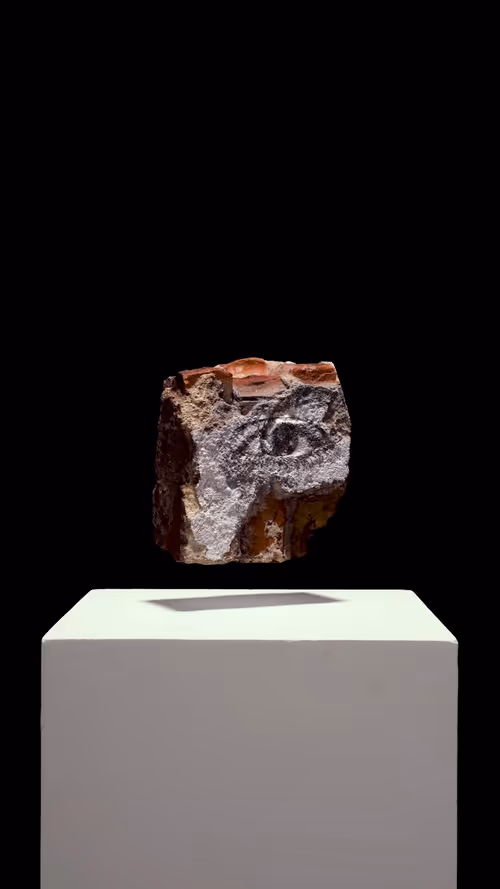 Item #13300030001 Media