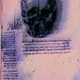 Skull Study in Pesca Dolce & Uva Glitch