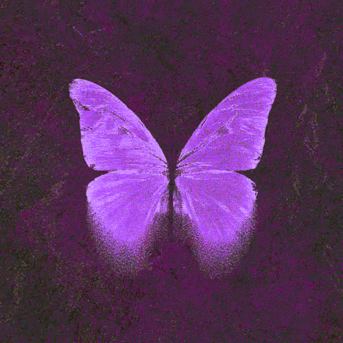 Violet Hush
