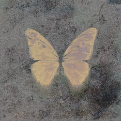 Ancient Pale