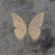 Ancient Pale